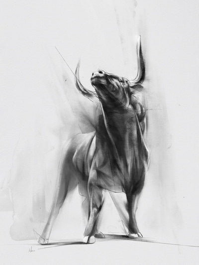 Wild Bull b/w