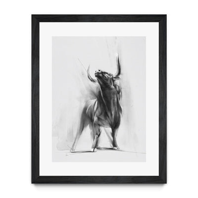 Wild Bull b/w