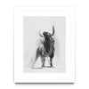 Wild Bull b/w