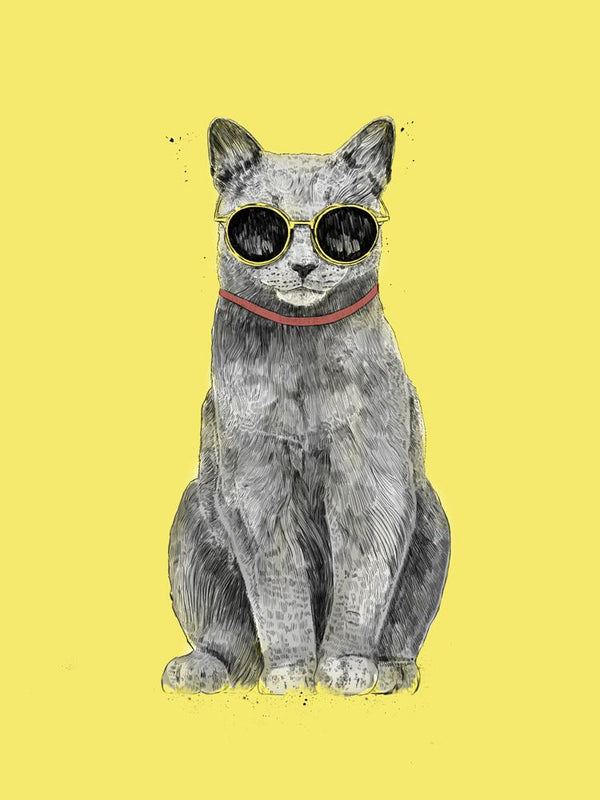 Chic cat wearing sunglasses glasses and coat Meditating Canvas